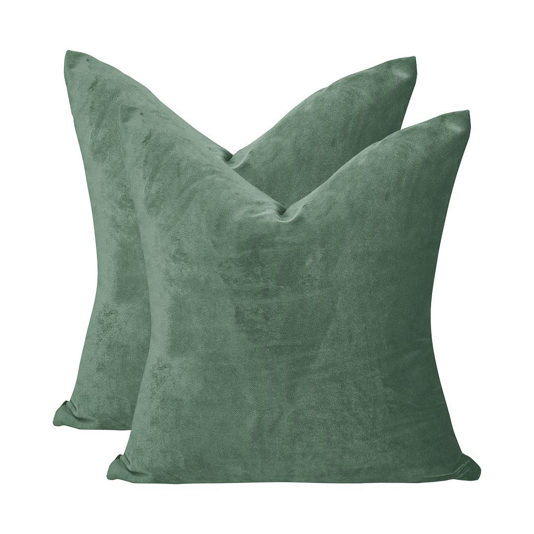 Velvet Throw Square Pillow Cover (Set of 2) Lilijan Home & Curtain Color: 36 Xanadu Size: 16" x 16"
