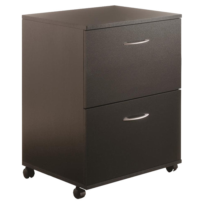 Carter 2-Drawer Vertical Filing Cabinet The Twillery Co.® Color: Black