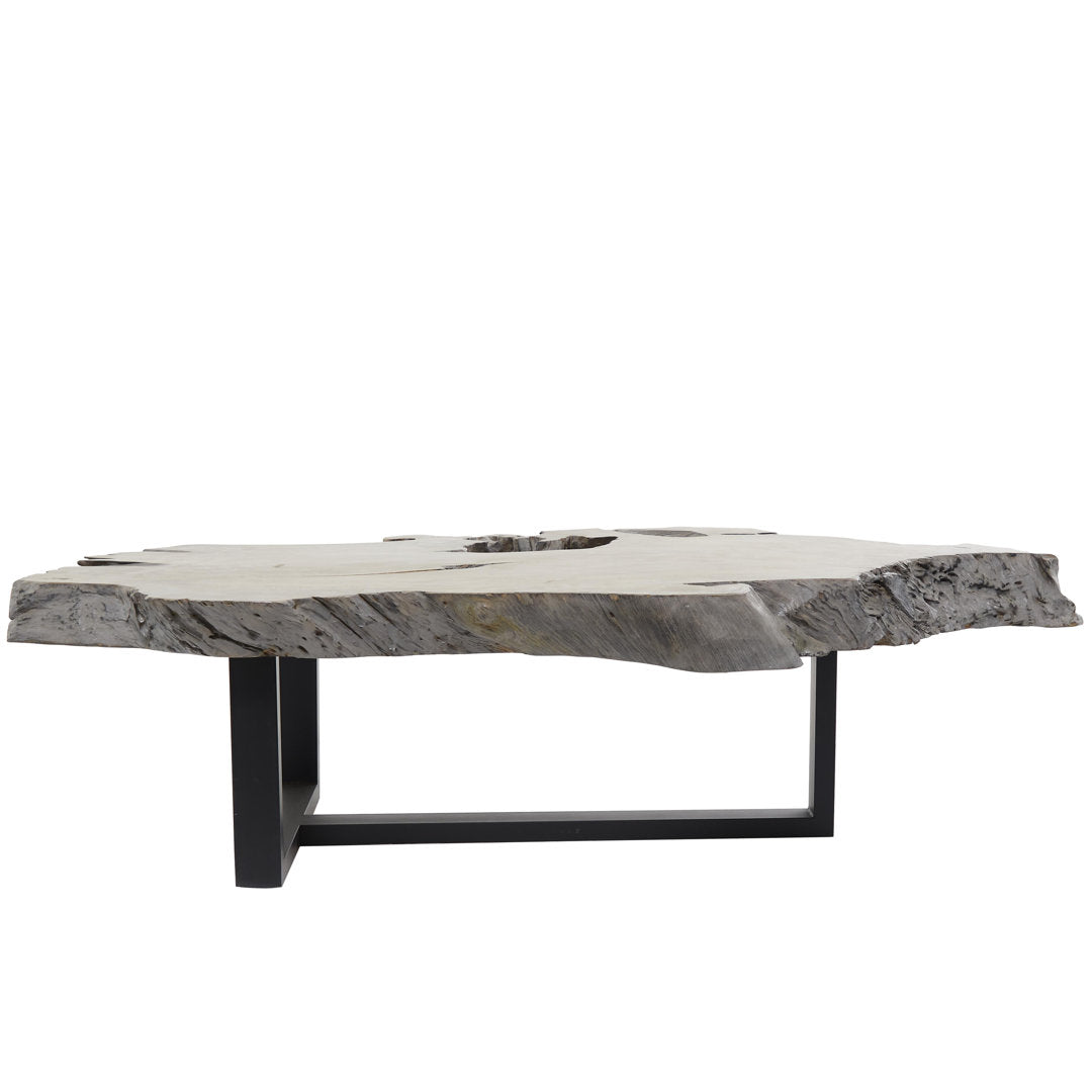 Loudon Teak Wood Handmade Live Edge Wood Slab Living Room Coffee Table with Black T Stand Base Loon Peak®