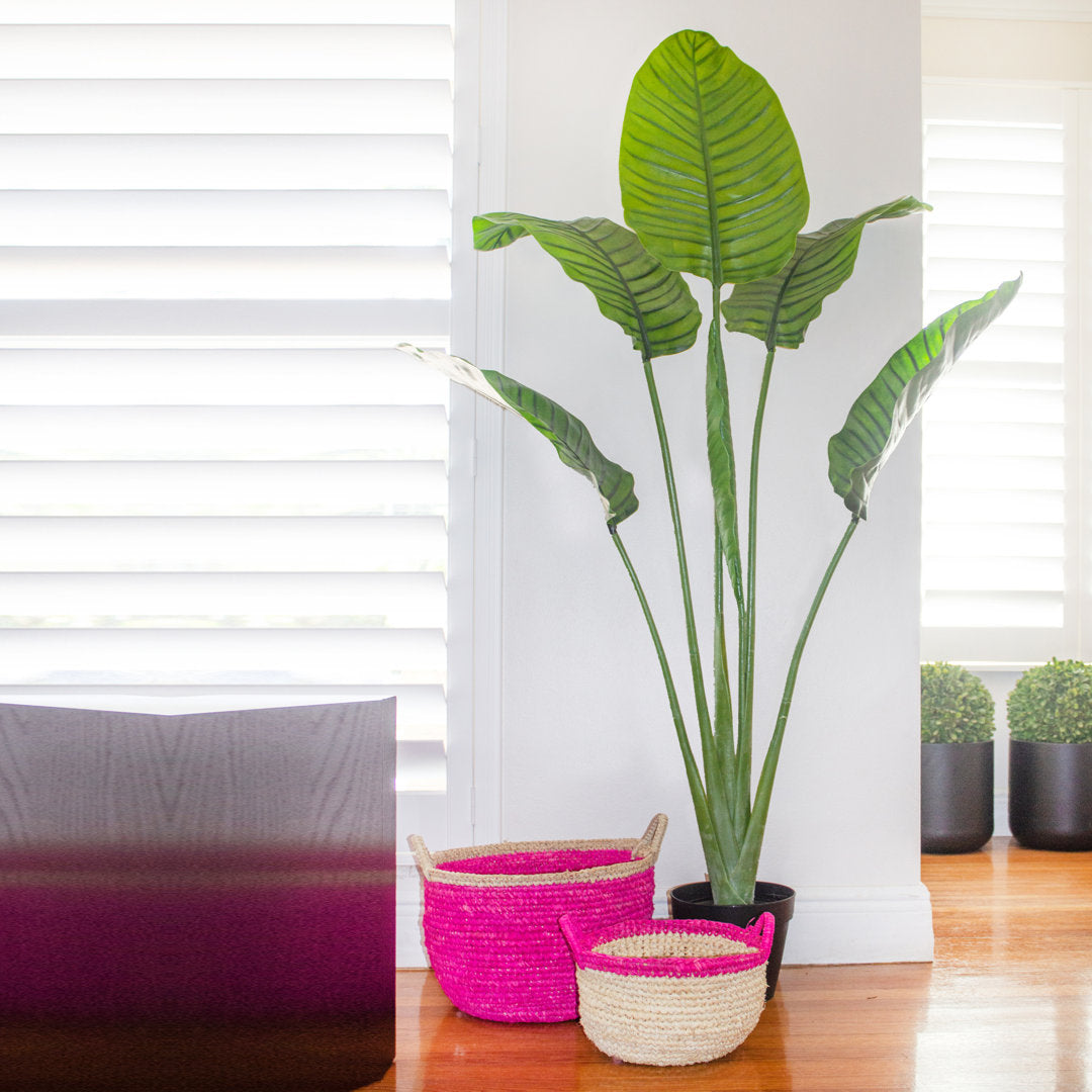 60in. Travelers Palm Tree UV Resistant (Indoor/Outdoor) Bay Isle Home™