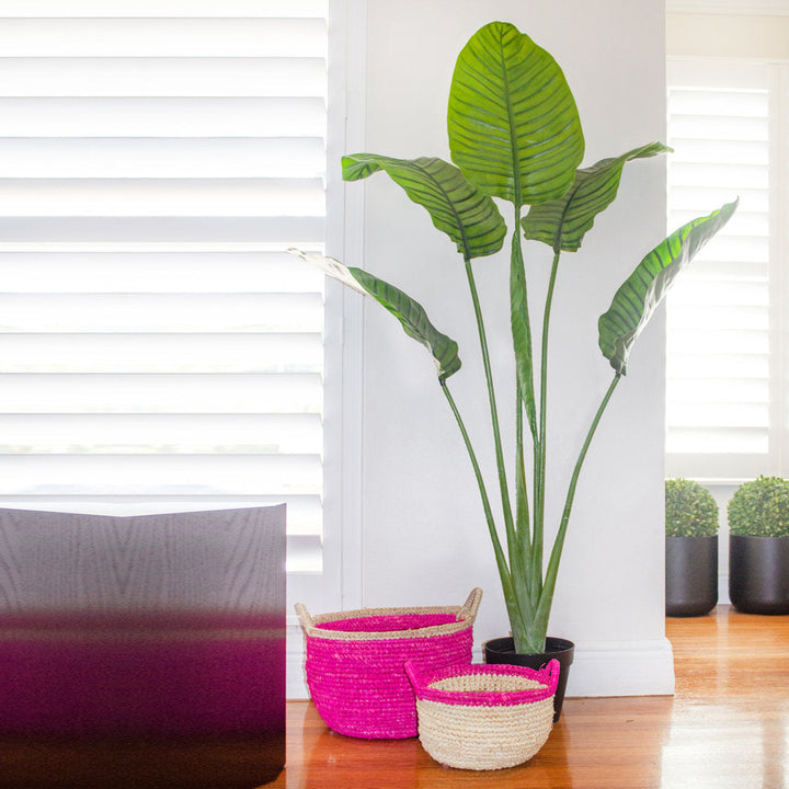 60in. Travelers Palm Tree UV Resistant (Indoor/Outdoor) Bay Isle Home™