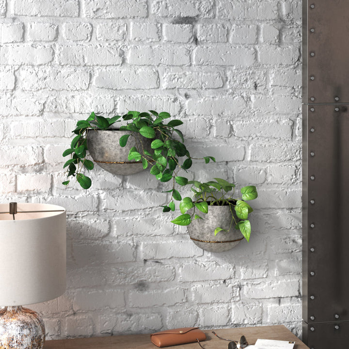 Clarence 2-Piece Resin Indoor/Outdoor Wall Planter Set Steelside™