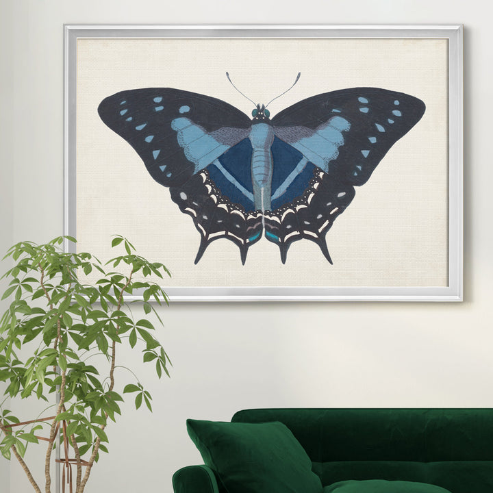 Beautiful Butterfly III' - Picture Frame Graphic Art on Canvas August Grove® Frame Color: Silver Size: 30.5" H x 42.5" W x 1.5" D