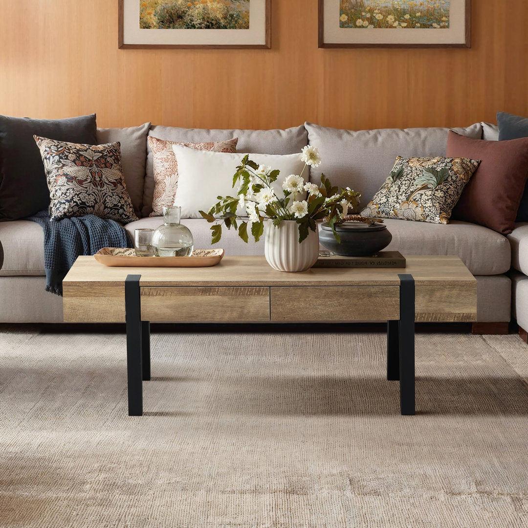 Regalado 2-Drawer Coffee Table Trent Austin Design®