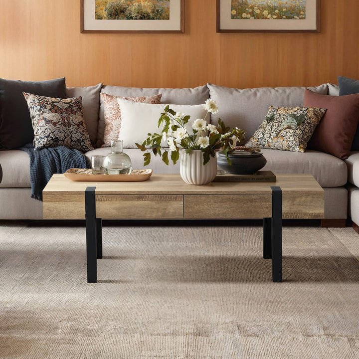 Regalado 2-Drawer Coffee Table Trent Austin Design®
