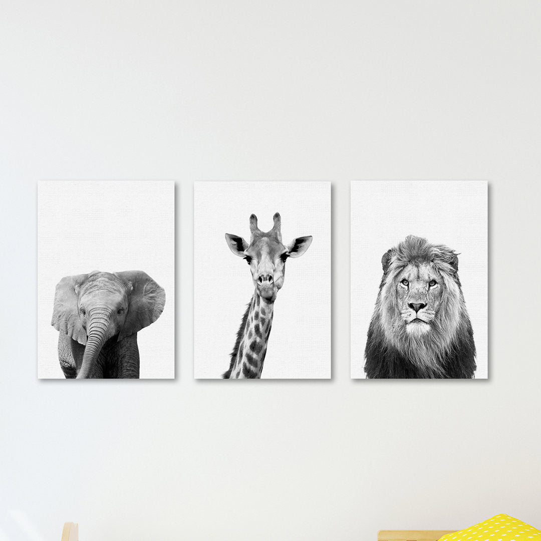 Strecker Nauda Canvas Art (Set of 3) The Twillery Co.® Size: 11" H x 14" W x 1.5" D