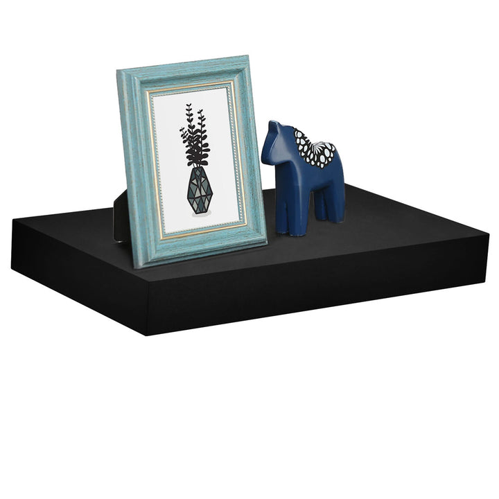 Bovina Floating Shelf Winston Porter Size: 2" H x 16" W x 9.25" D Finish: Black