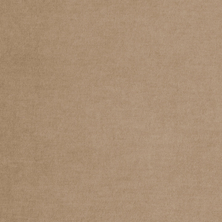 Colton Nailhead Club Chair Three Posts™ Upholstery Color: Sand Polyester