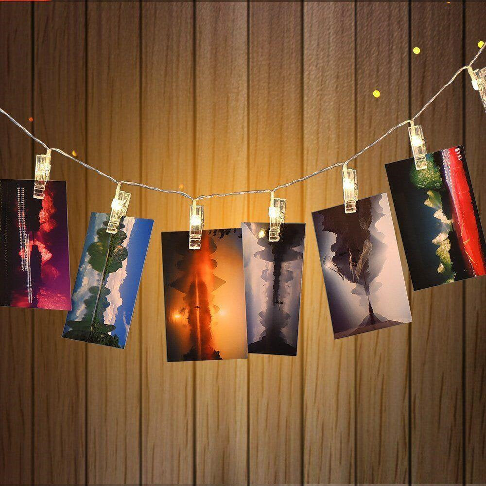 Clip 20 Light LED Battery String Light The Holiday Aisle®