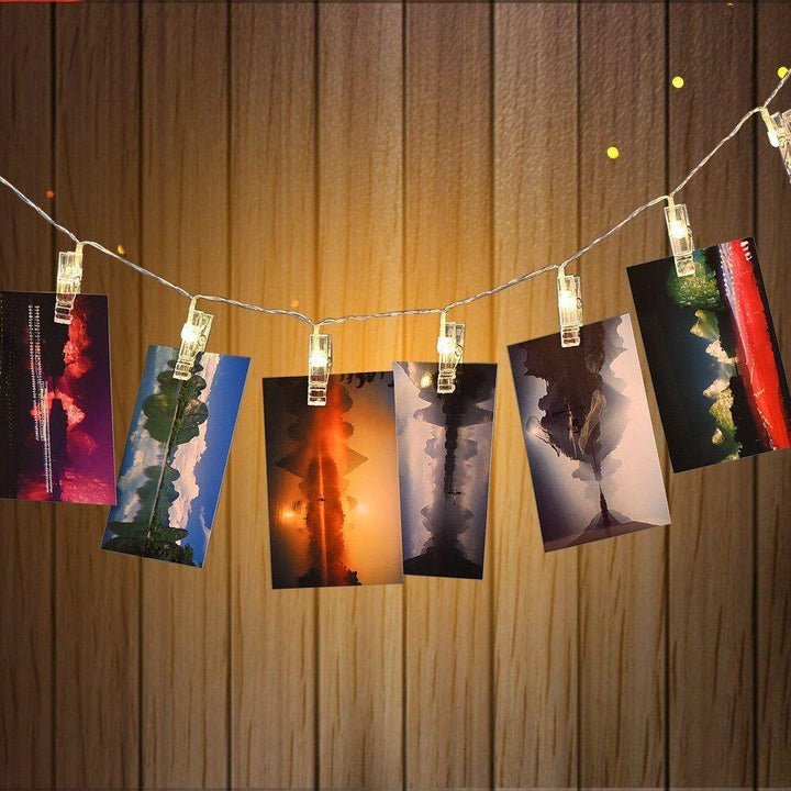 Clip 20 Light LED Battery String Light The Holiday Aisle®