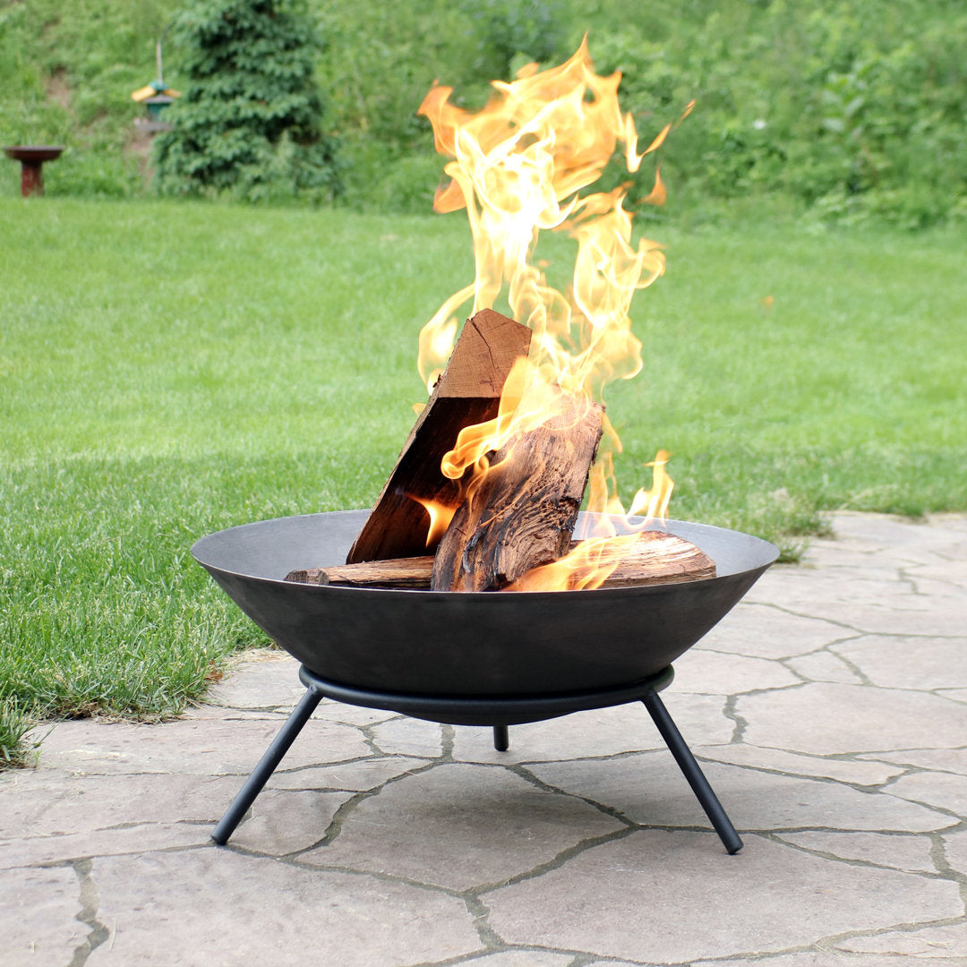 Eckard 22" Round Wood-Burning Black Finish Cast Iron Raised Fire Pit Bowl with Stand Wrought Studio™