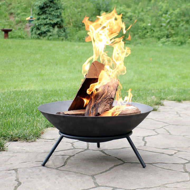 Eckard 22" Round Wood-Burning Black Finish Cast Iron Raised Fire Pit Bowl with Stand Wrought Studio™