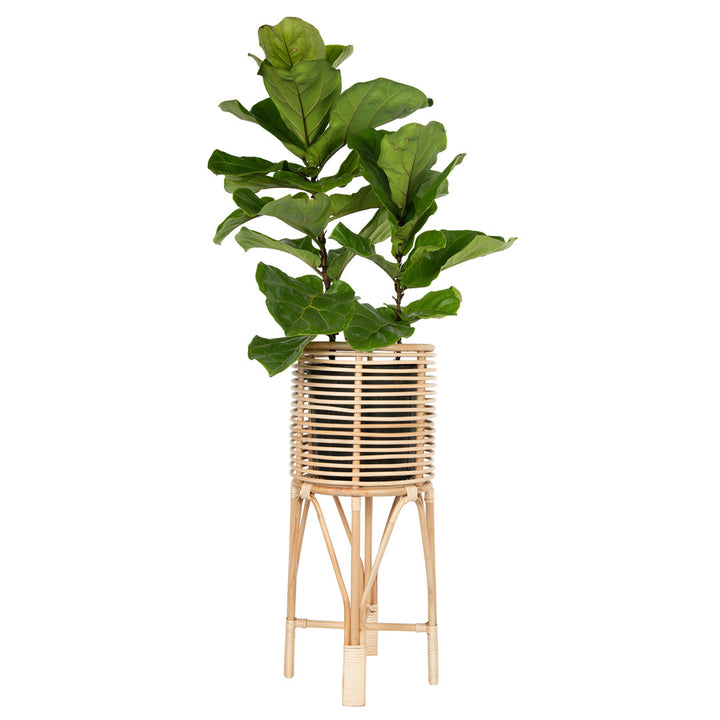 Andres Plant Stand Bay Isle Home™ Size: 28" H x 12" L x 12" D