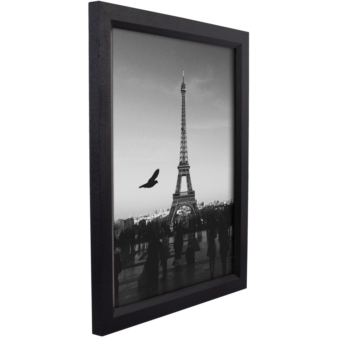 Single Picture Frame Alcott Hill® Color: Black Photo Size: 17" x 24"
