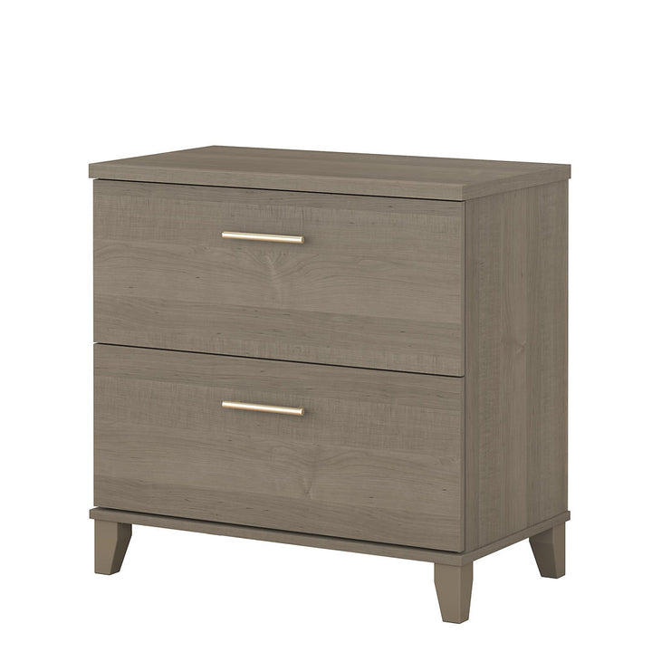 Magomed 2-Drawer Lateral Filing Cabinet Gracie Oaks Color: Ash Gray