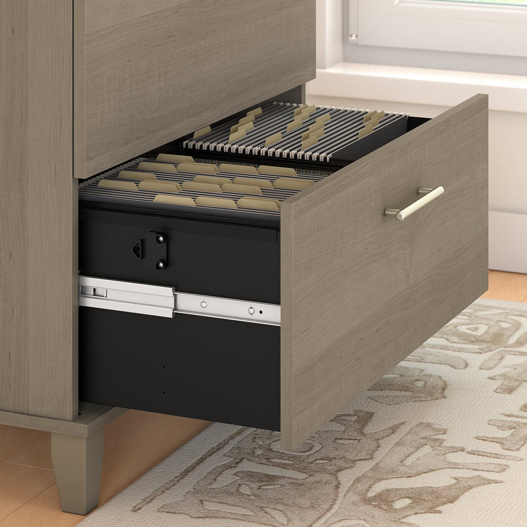 Magomed 2-Drawer Lateral Filing Cabinet Gracie Oaks Color: Ash Gray