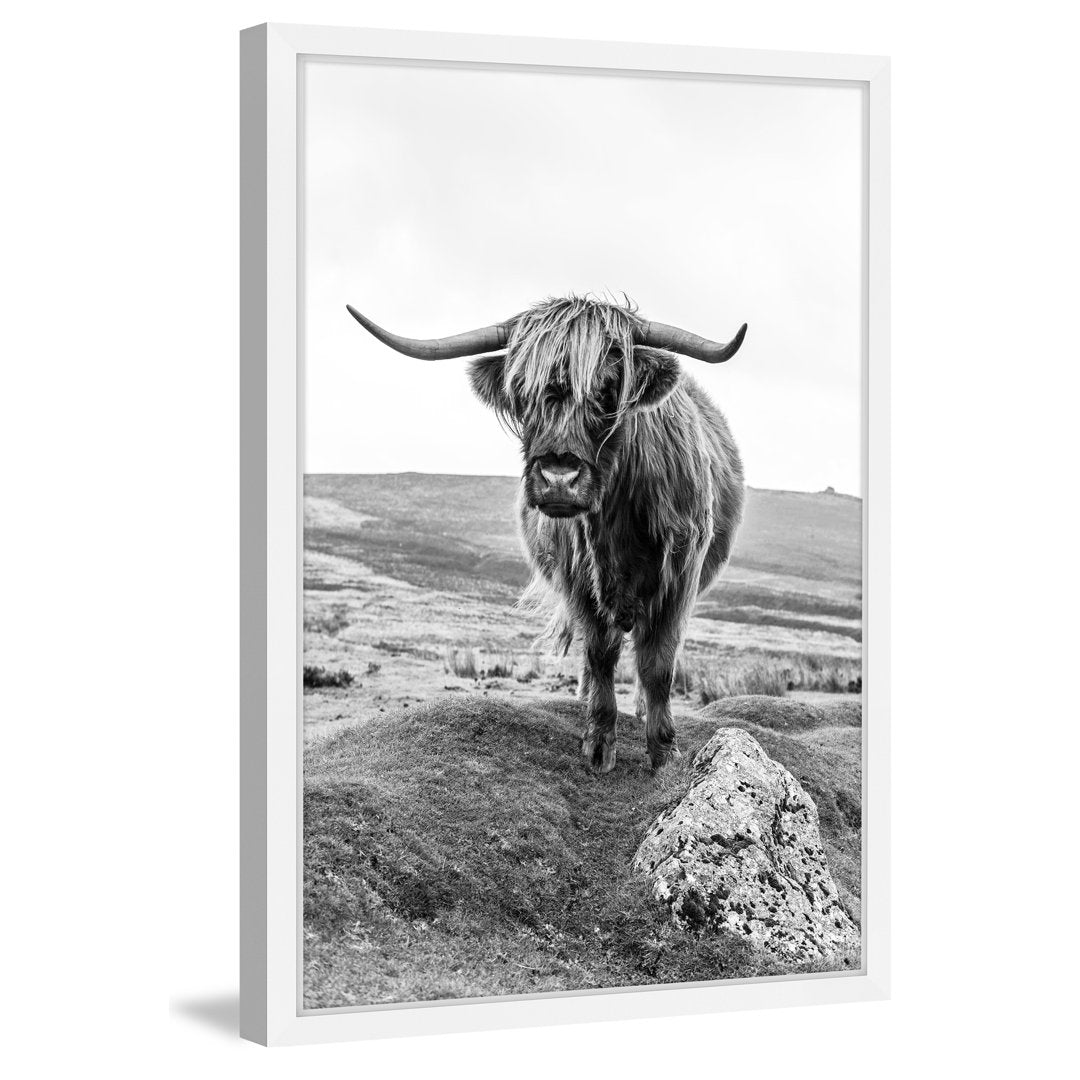 On a Hill - Picture Frame Photograph Print Union Rustic Size: 30" H x 20" W x 1.5" D