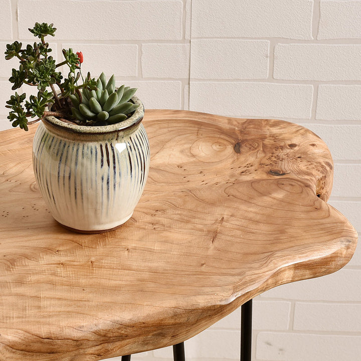 Centerview Solid Wood End Table Charlton Home®