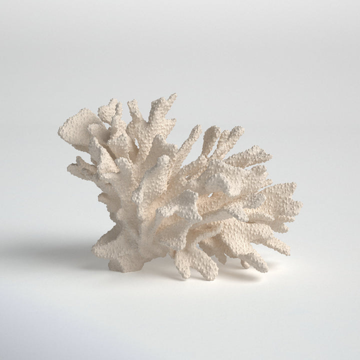 Kristen Coral Decor Birch Lane™