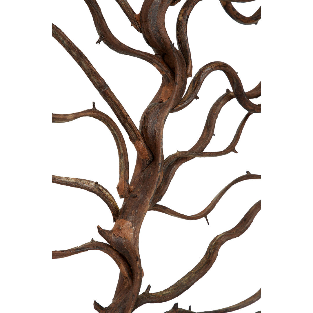 Rectangular Bauhinia and Teak Wood Wall Décor World Menagerie