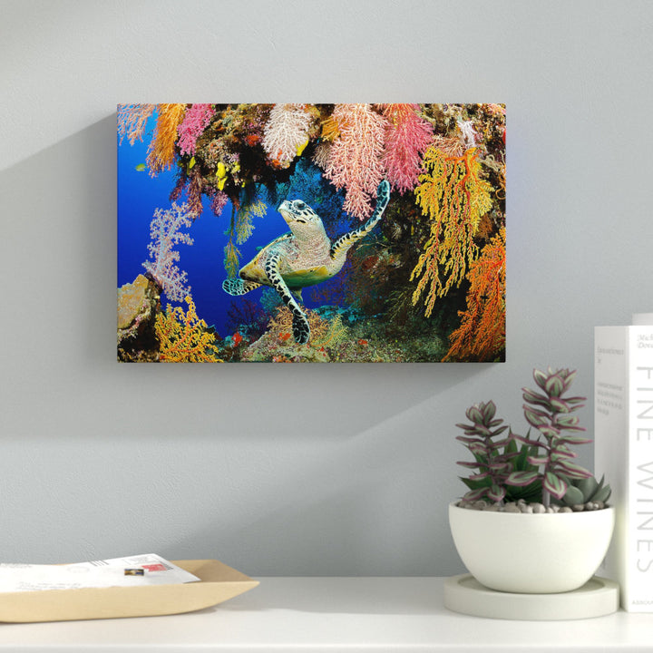 Hawksbill Turtle Fiji - Wrapped Canvas Photograph Print Latitude Run® Size: 36" H x 54" W x 1.5" D