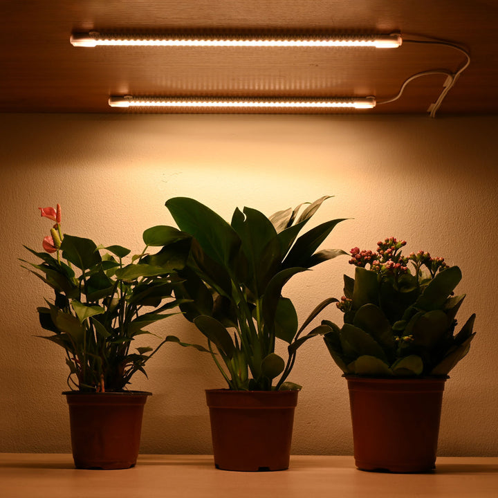Braely LED Grow Light Arlmont & Co.