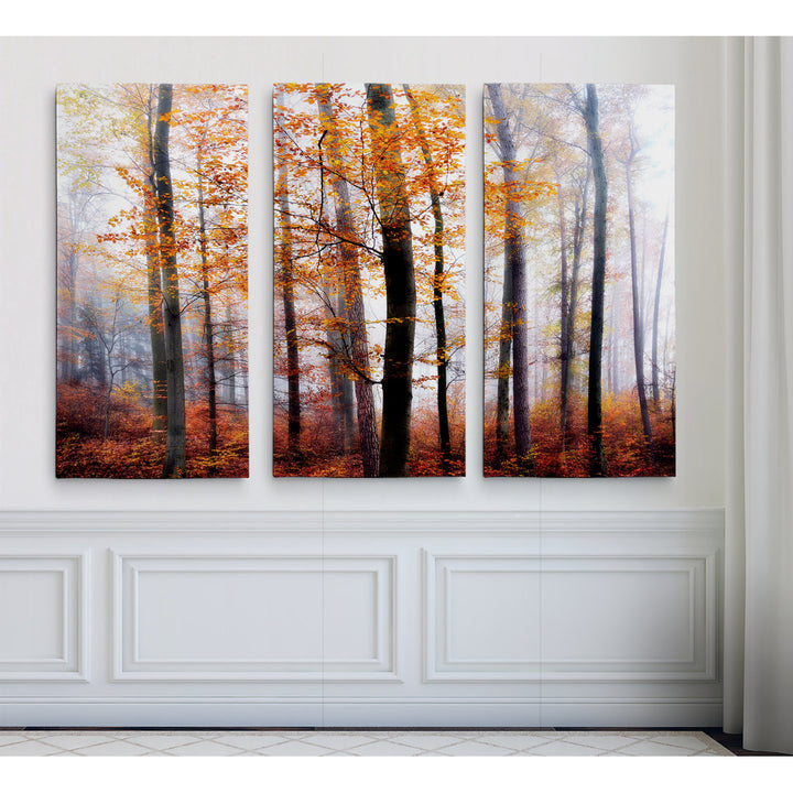 Lost in the Forest - 3 Piece Wrapped Canvas Multi-Piece Image Print Set Alcott Hill® Overall Size: 32" H x 48" W x 1.5" D