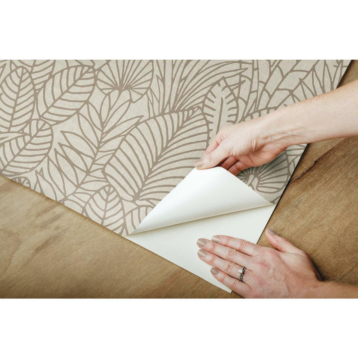 Davis Leaves Sketch 20.5' L x 16.5" W Peel and Stick Wallpaper Roll Sand & Stable™ Color: Taupe