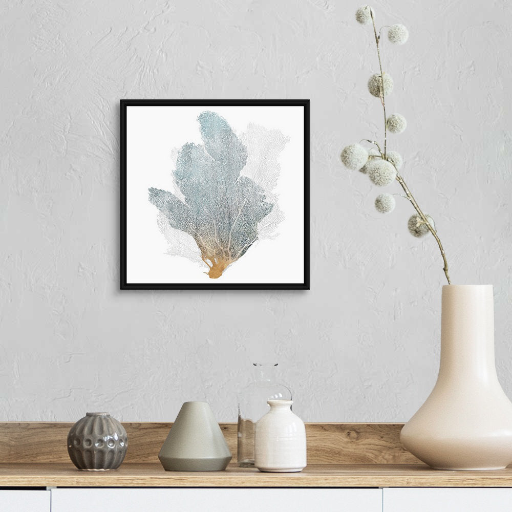 Delicate Coral II by Isabelle Z - Painting Print on Canvas Beachcrest Home™ Size: 14" H x 14" W x 1.75" D Format: Black Floater Framed Canvas