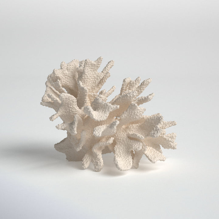 Kristen Coral Decor Birch Lane™