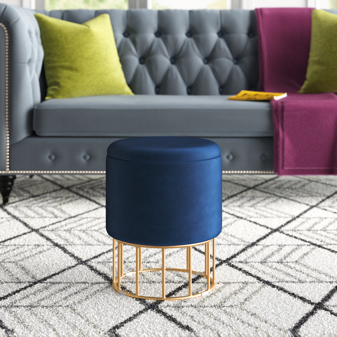 Aleena 13.5" Wide Velvet Round Storage Ottoman Etta Avenue™ Upholstery Color: Blue