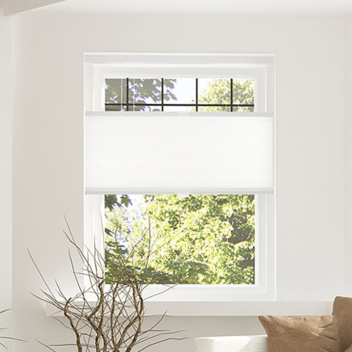 Custom Made Cordless Blackout Cellular Shade Chicology Blind Size: 57.5"W x 48"L Finish: White Dove