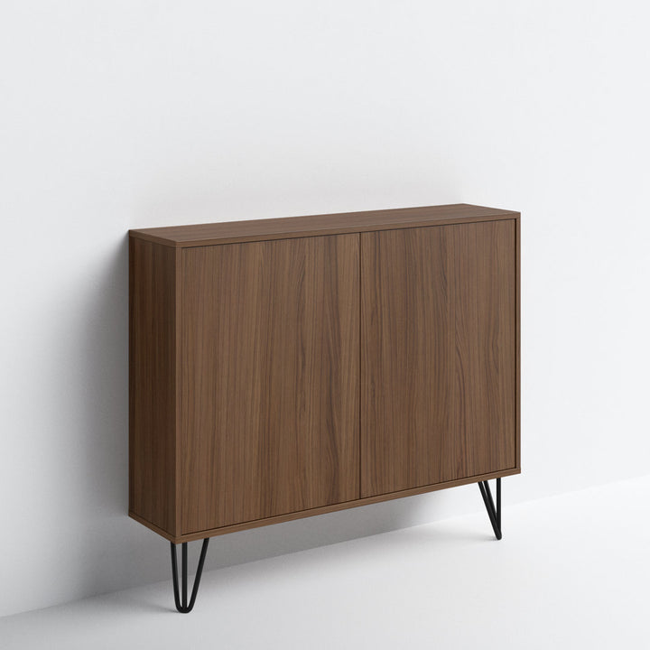 Azerion 2 - Door Accent Cabinet Wade Logan® Color: Walnut
