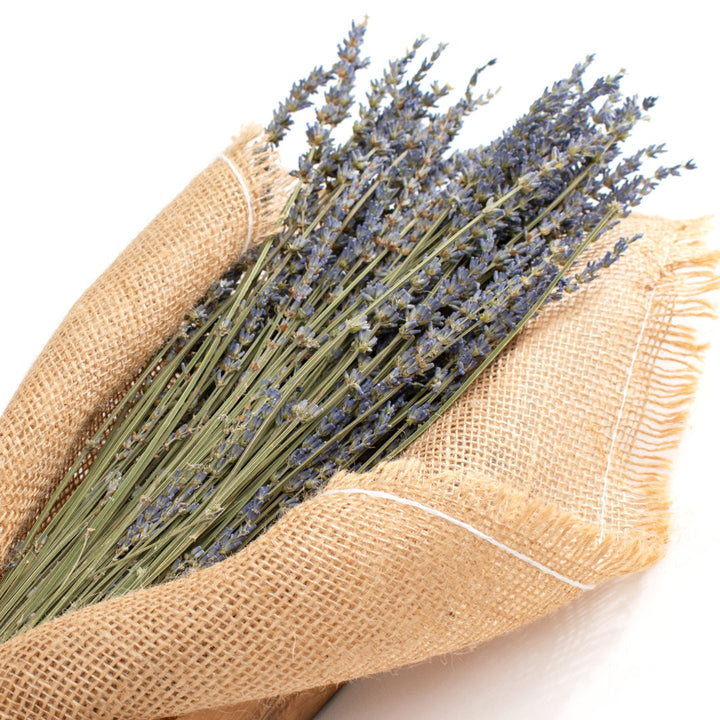 Lavender Sprays Beachcrest Home™