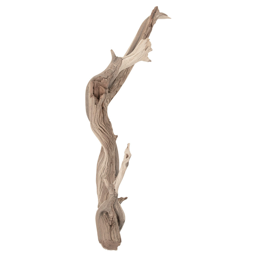 Adolfa Decorative Natural Scuplture Union Rustic Size: 24" W
