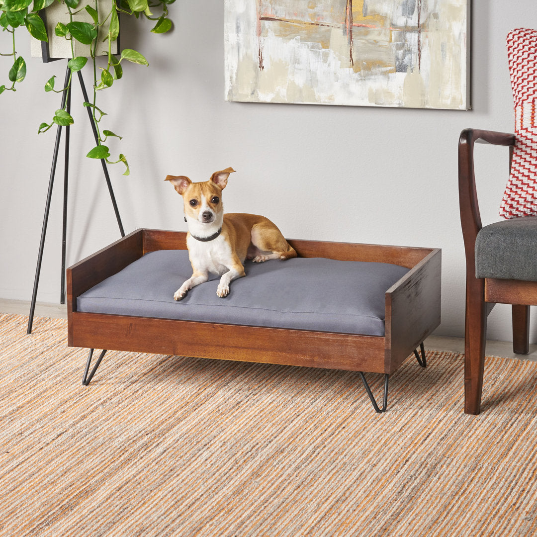 Kaylor Mid Century Modern Dog Sofa Tucker Murphy Pet™ Color: Dark Oak/Black/Dark Gray
