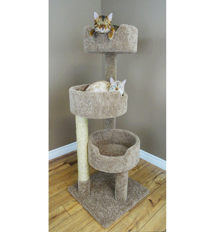 52" Deluxe Cat Tree New Cat Condos Color: Brown