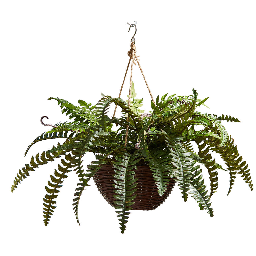 Faux Boston Fern - Hanging Natural and Lifelike Artificial Arrangement and Imitation Greenery with Basket for Home or Office Décor Bay Isle Home™