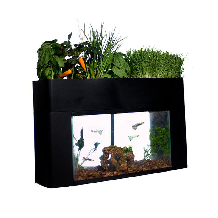 AquaSprouts Garden AquaSprouts