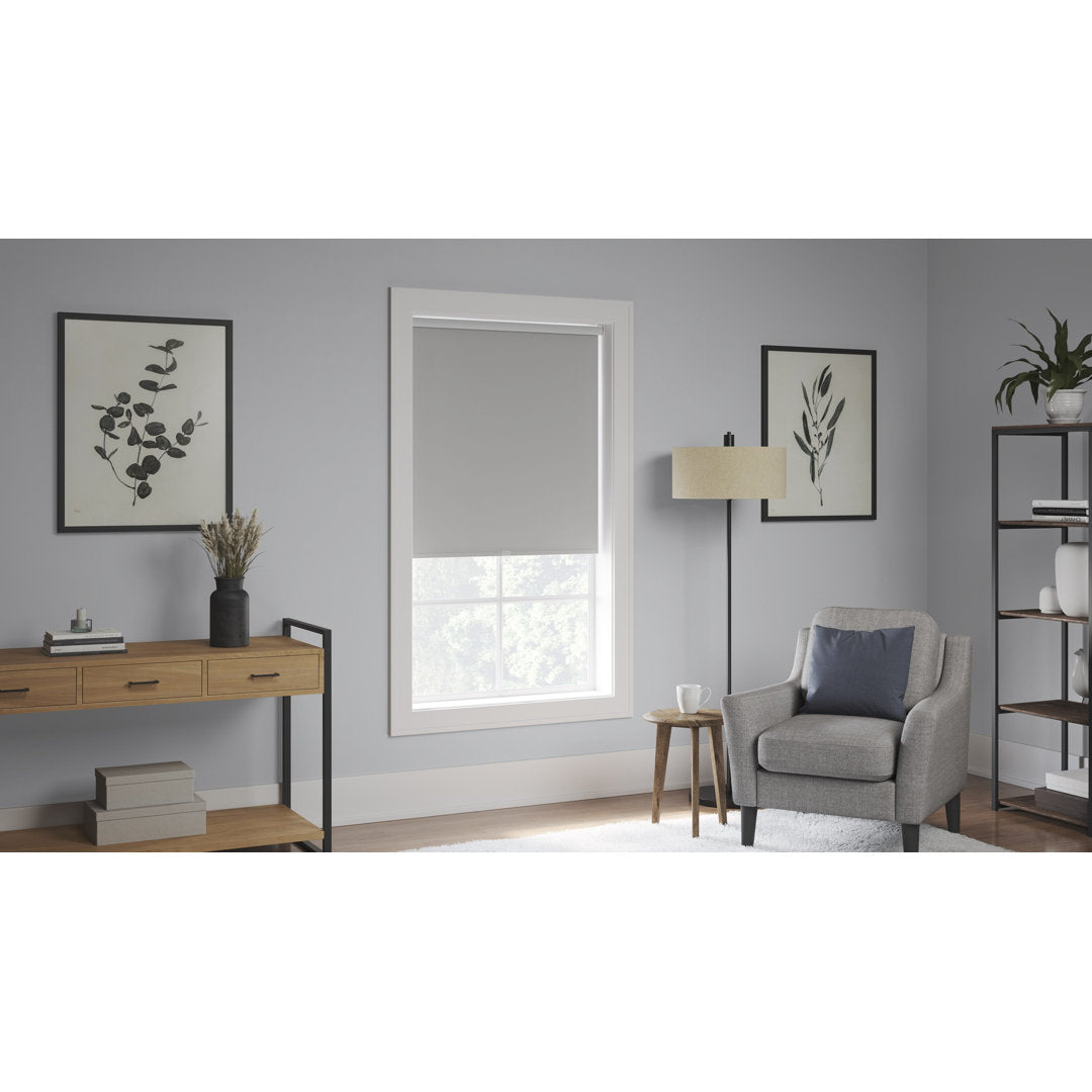 Blackout Cordless Roller Shade Symple Stuff Color: Light Gray Blind Size: 52.5"W x 74"L