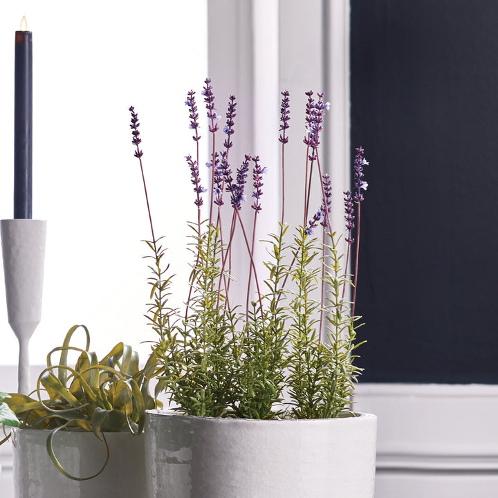 French Lavender Floral Arrangement in Pot Kelly Clarkson Home