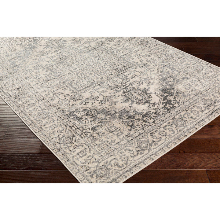 Witten Distressed Charcoal/Cream Area Rug Bungalow Rose Rug Size: Rectangle 8'10" x 12'