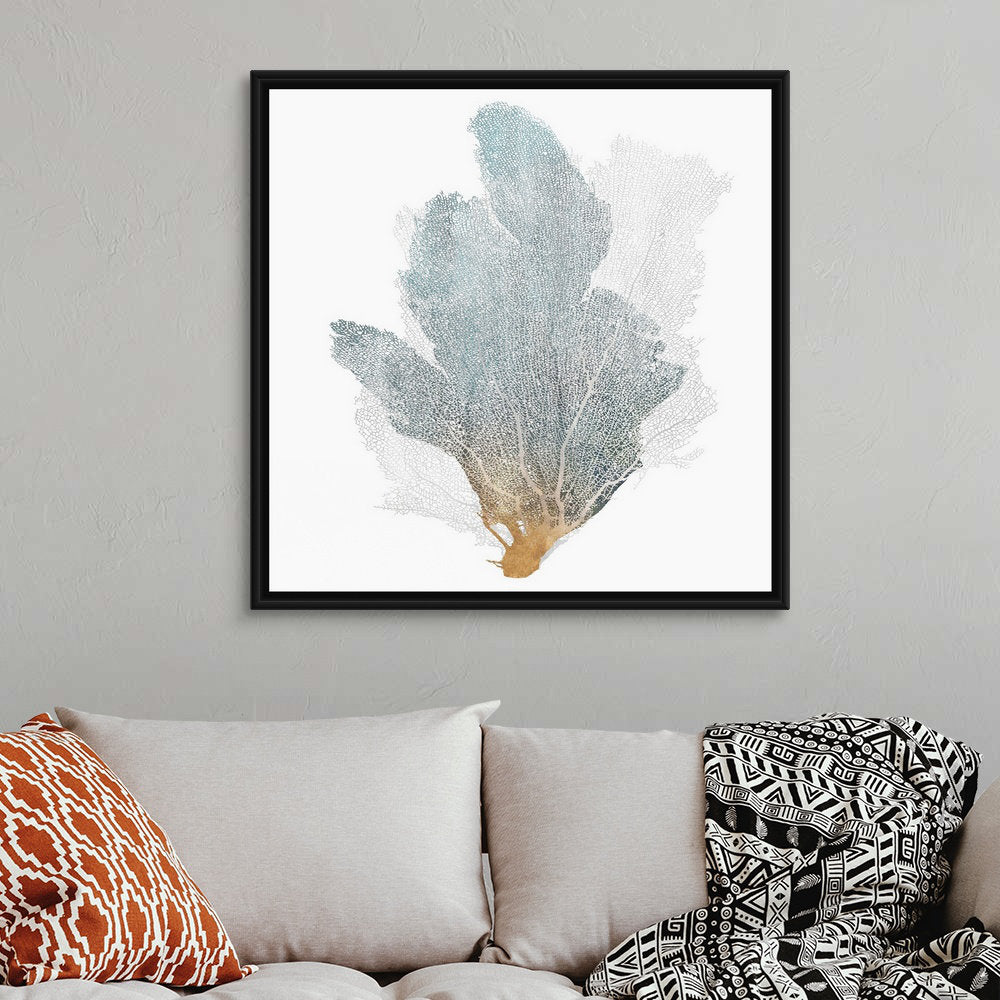 Delicate Coral II by Isabelle Z - Painting Print on Canvas Beachcrest Home™ Size: 38" H x 38" W x 1.75" D Format: Black Floater Framed Canvas