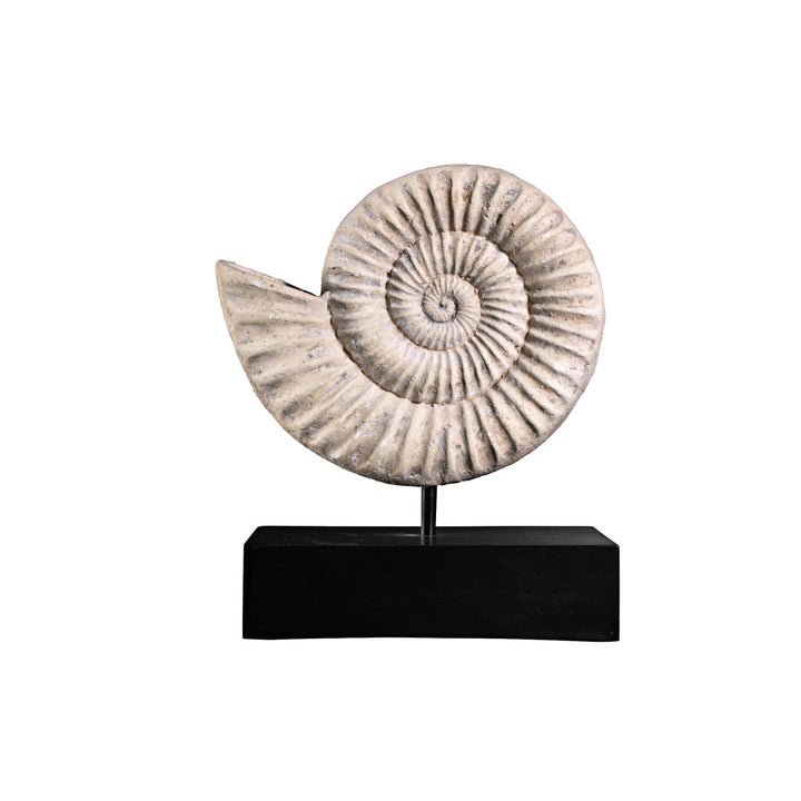 Ammonite Fossil Mount Sculpture Design Toscano