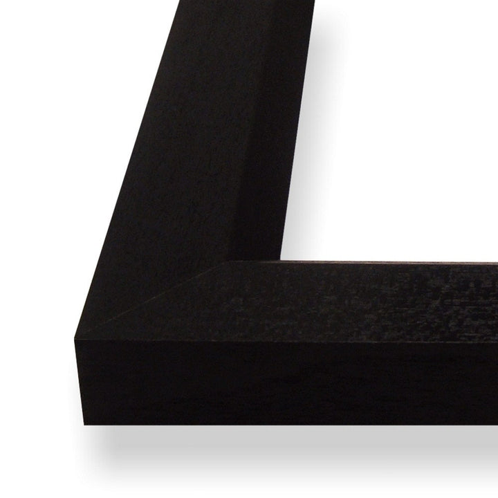 Single Picture Frame Alcott Hill® Color: Black Photo Size: 17" x 24"