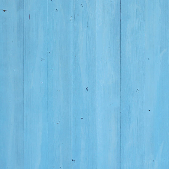 5" x 47" Reclaimed Peel and Stick Engineered Wood Wall Paneling e-Joy Color: Sky Blue