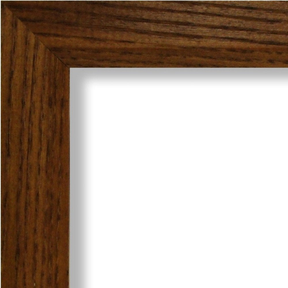 Single Picture Frame Alcott Hill® Color: Brown Photo Size: 13" x 19"