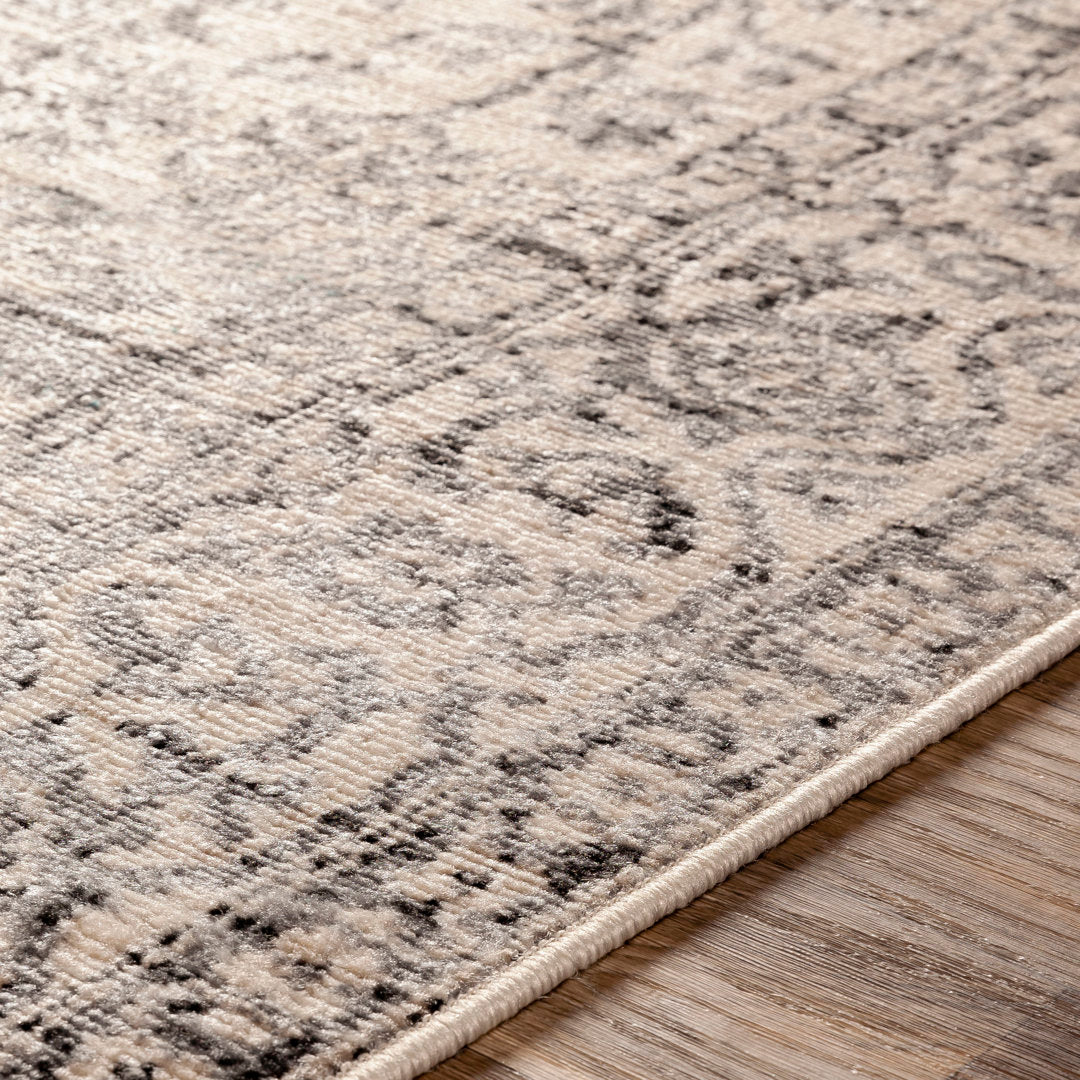 Witten Distressed Charcoal/Cream Area Rug Bungalow Rose Rug Size: Rectangle 8'10" x 12'