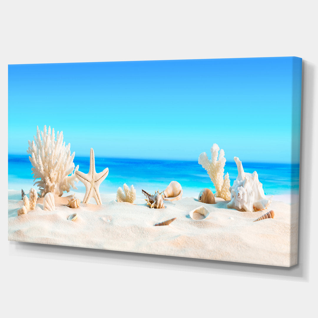 Risa Seashells on Tropical Beach' Graphic Art Highland Dunes Size: 16" H x 32" W x 1" D Format: Wrapped Canvas