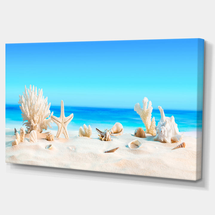 Risa Seashells on Tropical Beach' Graphic Art Highland Dunes Size: 16" H x 32" W x 1" D Format: Wrapped Canvas